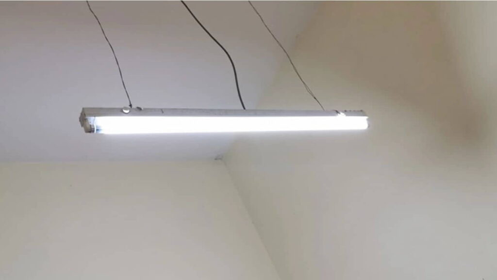jenis lampu kalimantang yang digunakan di malaysia